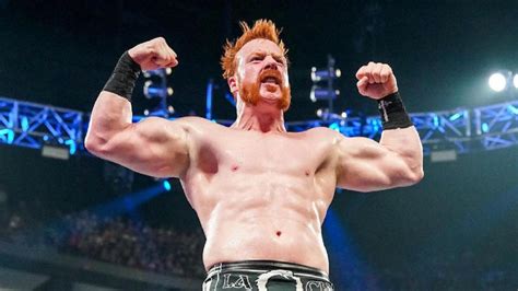 sheamus nude|WWE Sheamus